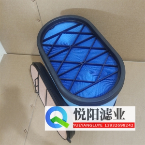 P621983和P621984蜂窝滤芯