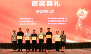 进口替代