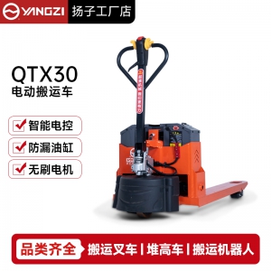 称重款电动叉车,搬运车,电动地牛扬子厂家直销-支持非标定制