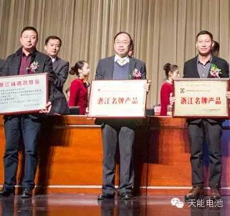 工业经济保持标杆 天能集团引领转型 率先跨越 走在前列