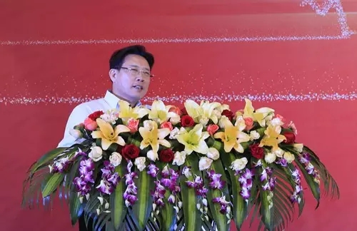 张天任代表聚焦电池消费税：从供给侧“补短”从企业侧“减负”