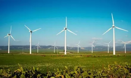 梁稳根：抓住两大战略机遇交汇点  实现世界级企业目标