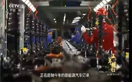 CCTV2┃五年规划：比亚迪的春天到了 正规划整片森林！