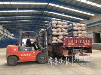 金乡缺万余人叉车工人，这个免费叉车培训班很火