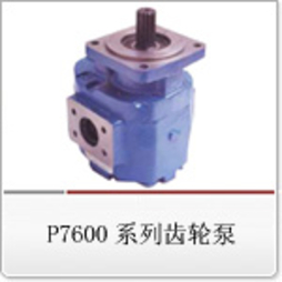 P7600系列齿轮泵  