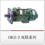 CBG2组系列双联齿轮泵 CBG2