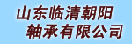 临清朝阳轴承有限公司