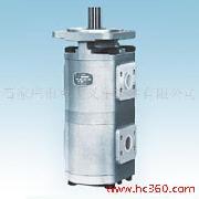 双联齿轮油泵 CBG2/2