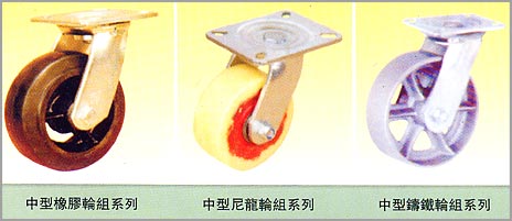 轮组  