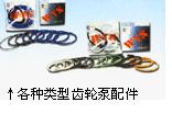 齿轮泵配件  