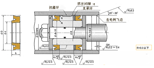 活塞专用密封 ODI型