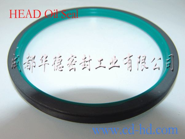 骨架油封  