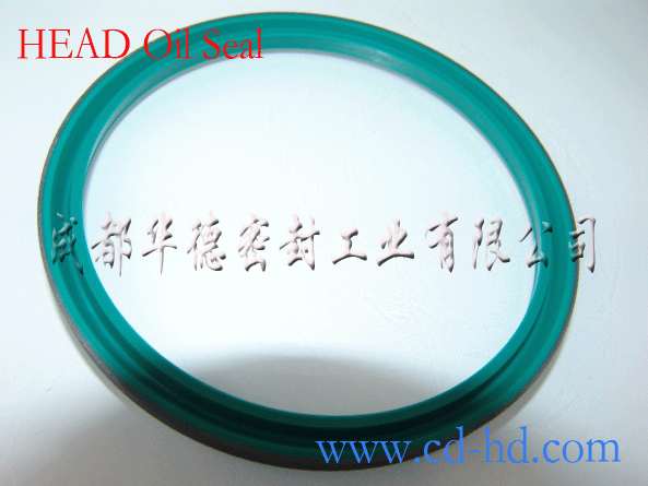 骨架油封  