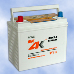 奥克免维护铅酸蓄电池32C24 32C24