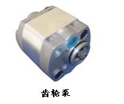 齿轮泵 多型号