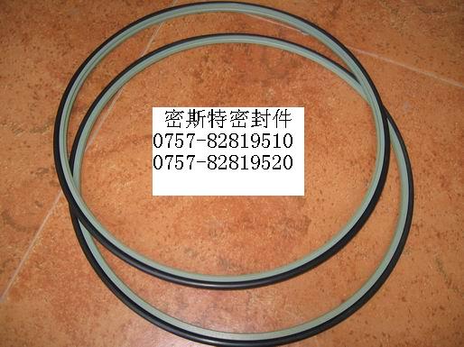导向环密封件