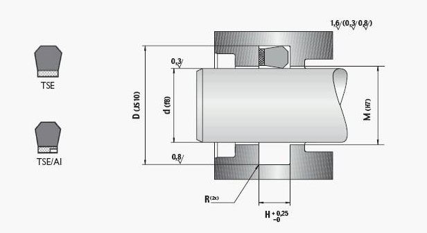 蕾形.蕾型.TGO 密封圈