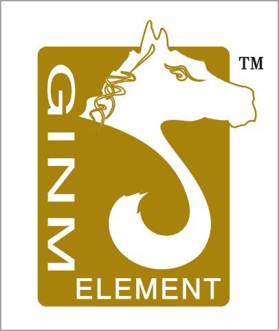 定形软管(油管) 9647513