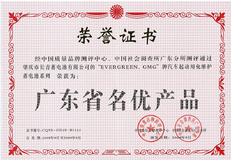 高尔夫电池 EV-8V-145AH