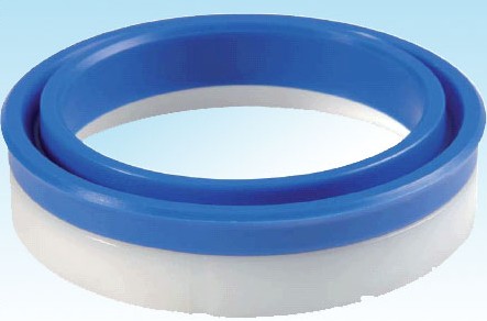 TECNOLAN 活塞密封件 各种型号