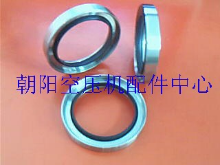PTFE油封
