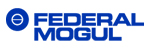 德国 Federal-Mogul Friedberg GmbH-GOETZE