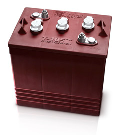 美国Trojan蓄电池 T-105