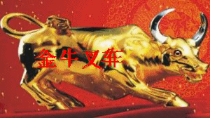 MN广州劲能进口叉车配件