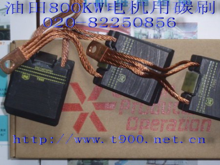 GE电机电刷 T900