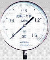 特种压力表 YT