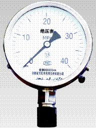 绝压压力表 Y