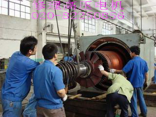 代理风力发电机进口碳刷,青铜刷合,不锈钢恒压弹簧..020-82250856 代理风力发电机进口碳刷,青铜刷合,不锈钢恒压弹簧..020-82250856