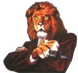 常州市三王轮胎贸易有限公司