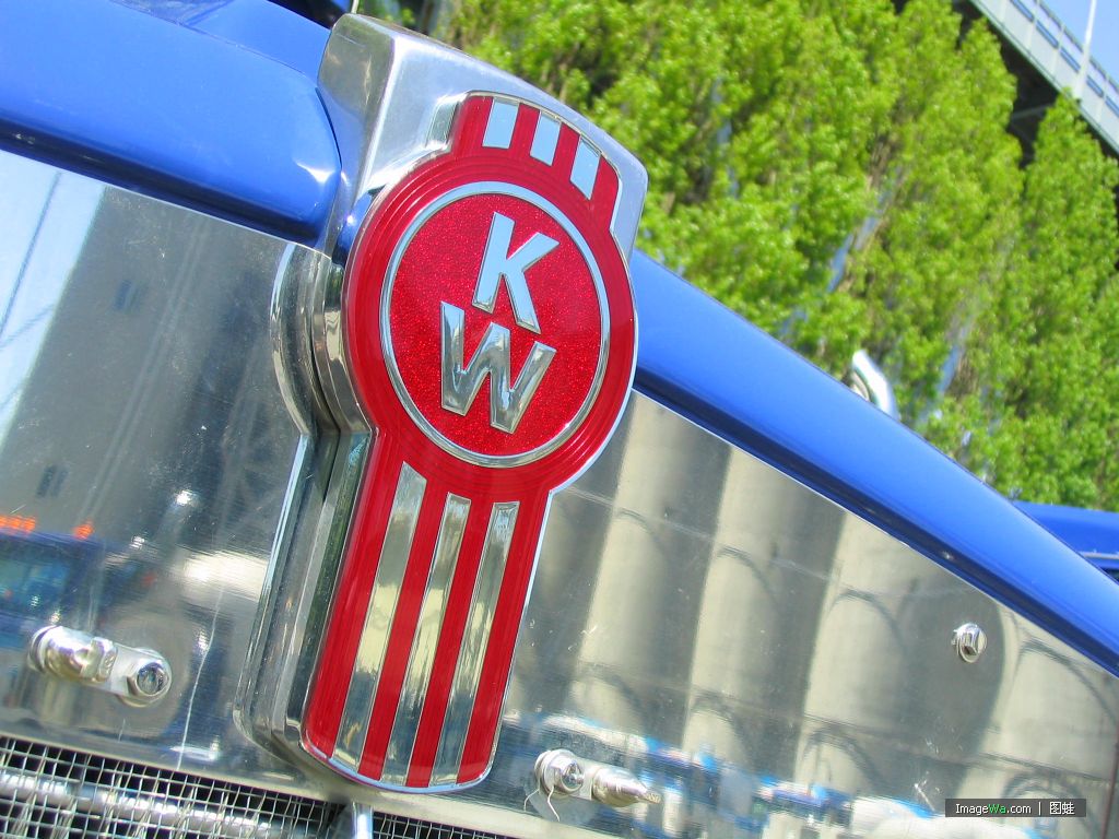 沃尔沃(VOLVO)发电机：872021 发电机：872021
