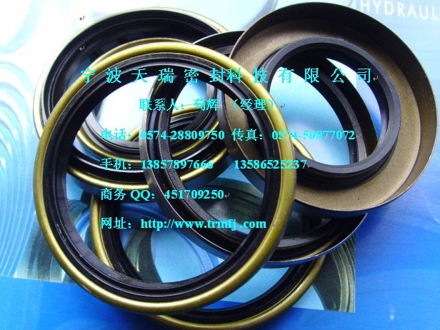 供应TB型骨架油封 TC TB SC SB VC VB UN DKB 等