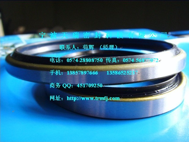 供应DKB防尘密封件 TC TB SC SB VC VB UN DKB 等