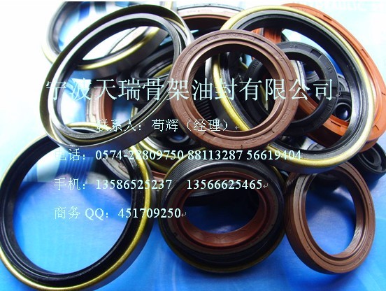 供应特种骨架油封 TC TB SC SB VC VB UN DKB 等