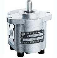 CBK-F齿轮泵，CBW-F齿轮泵 CBK-F，CBW-F