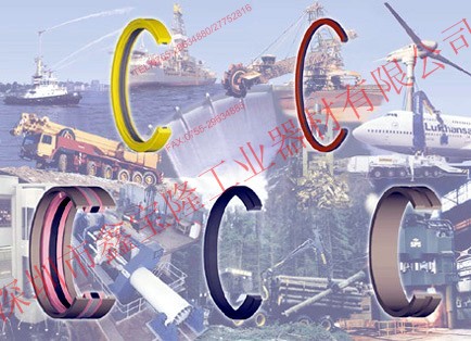 德国CFW Simrit、洪格尔HUNGER油封密封件 齐全