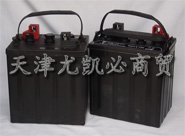 旅游观光车蓄电池