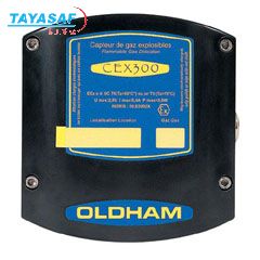 CEX300固定式气体检测仪 CEX300