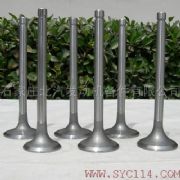 发动机气门 YZ102、YN4100、TPK100、天动6130、杭发6130Q
