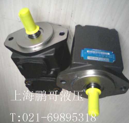 DENISON双联叶片泵|DENISON叶片泵T6C 006 1L01 B1 T6C 006 1L01 B1