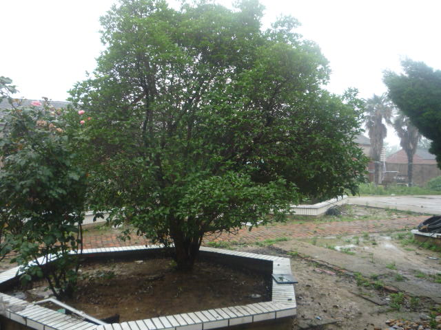 合肥叉车配套胶管总成