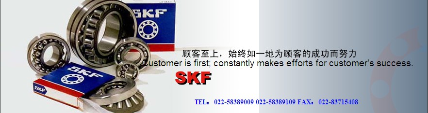 SKFNK 32/20轴承 SKFNK 32/20