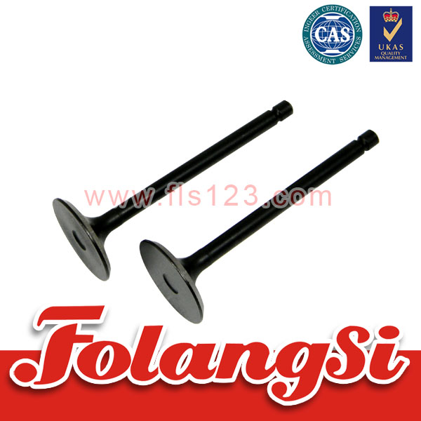 叉车配件 进排气门 TCM 4JG2