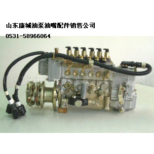 共轨油泵油嘴配件 山东康城油泵油嘴配件销售公司