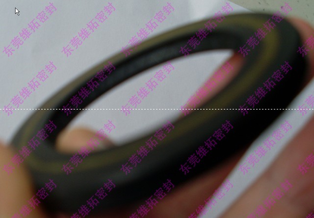 德国BAKHDSN马达油封，高压油封 BAKHDSN