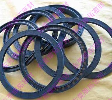 德国CFW油封，SIMRIT油封，MFF油封 BABSL