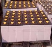 合力叉车蓄电池杭州叉车电池台励福叉车电池宝骊叉车蓄电池。 7VBS700